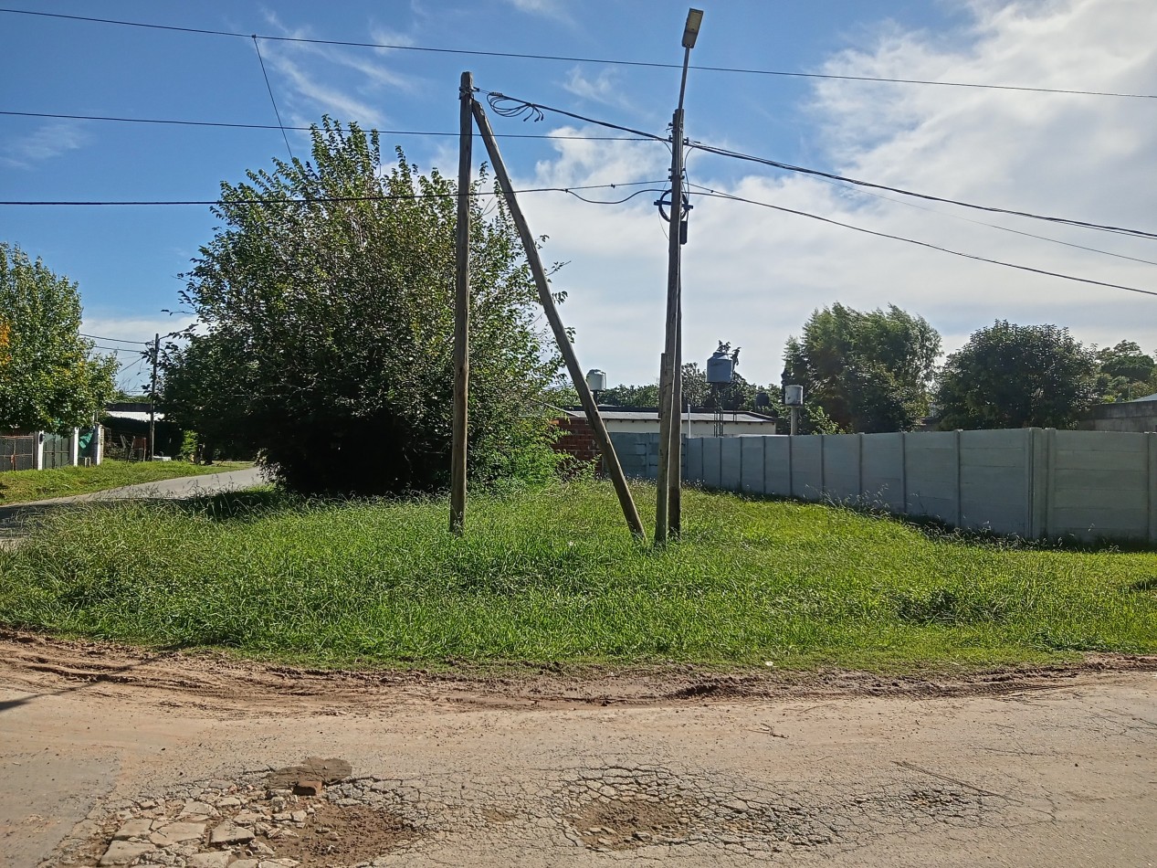 Lote 195 mts Manzanares, sobre asfalto.