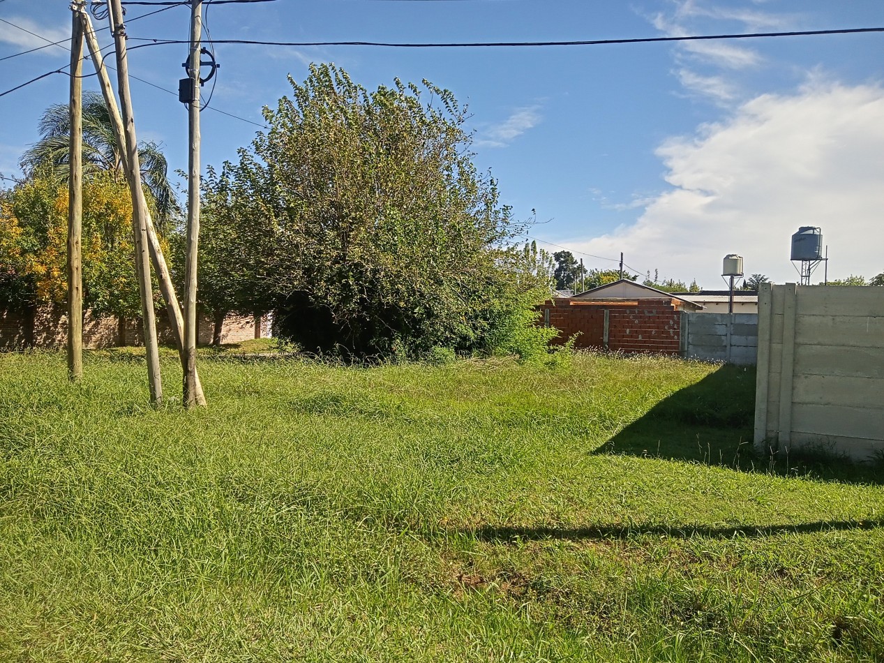 Lote 195 mts Manzanares, sobre asfalto.