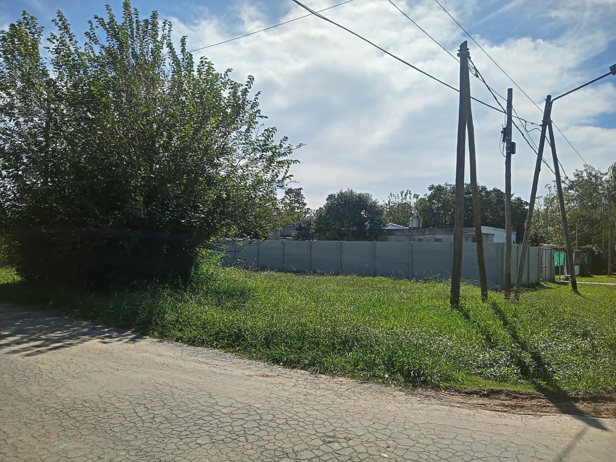 Lote 195 mts Manzanares, sobre asfalto.